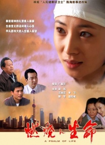 BD国语电影免费在线